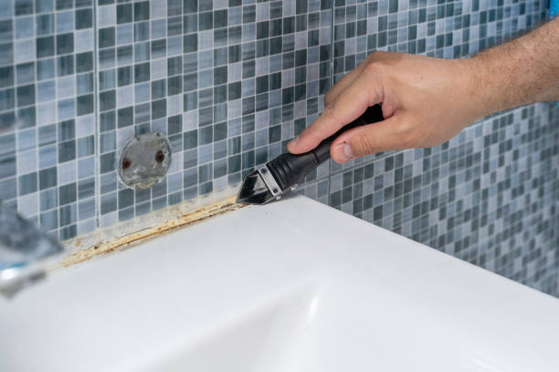 Best Mold Removal Company Near Me  in Huber Heights, OH